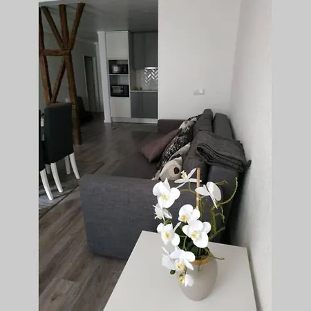 Apartment Cathedral